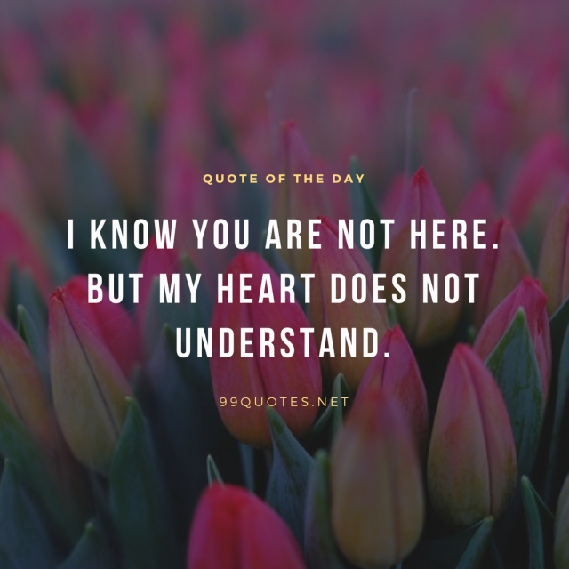 I know you are not here. But my heart does not understand. 